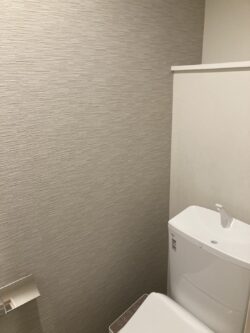 s 540278809 0